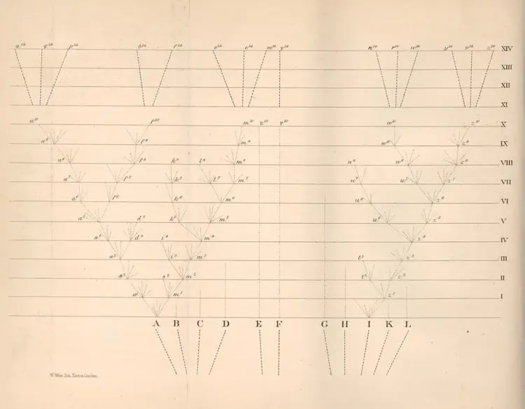 On_the_Origin_of_Species_diagram