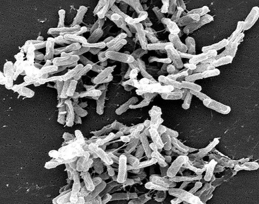 Screenshot 2025-07-30 at 11.28.30 AM