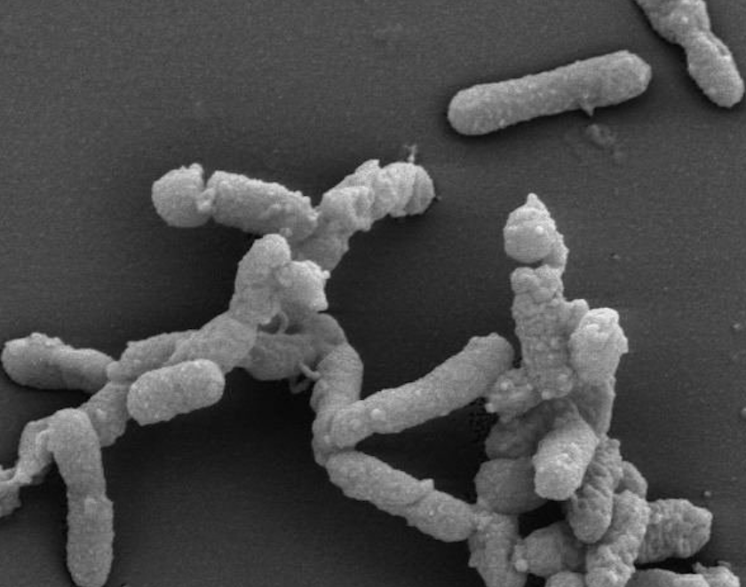 Screenshot 2025-07-30 at 11.28.40 AM