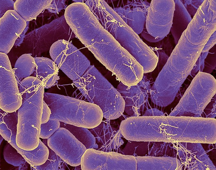 Screenshot 2025-07-30 at 11.28.48 AM