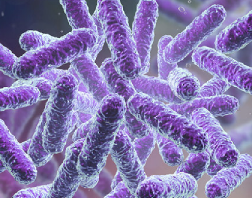 Screenshot 2025-07-30 at 11.29.05 AM