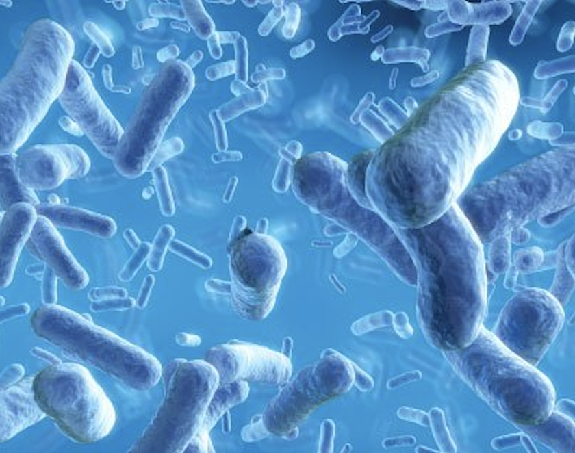 Screenshot 2025-07-30 at 11.29.15 AM