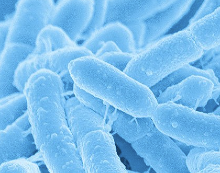 Screenshot 2025-07-30 at 11.29.23 AM