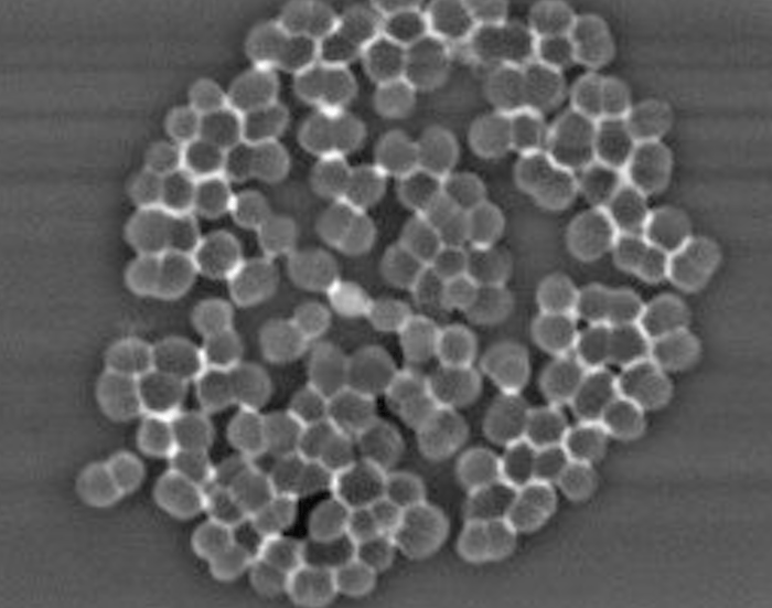 Screenshot 2025-07-30 at 11.29.42 AM