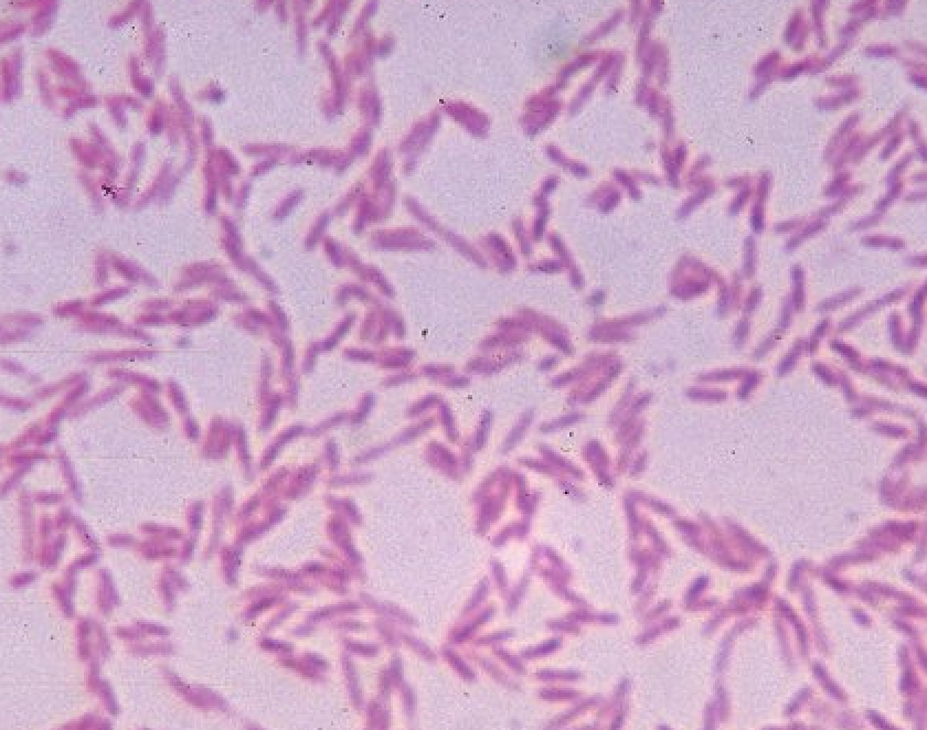 Screenshot 2025-07-30 at 11.30.00 AM