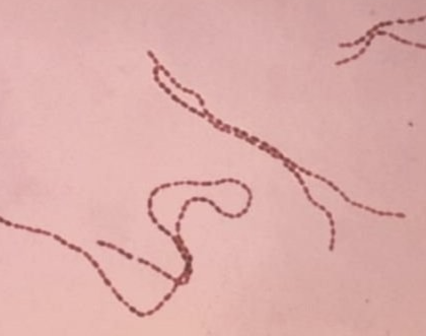 Screenshot 2025-07-30 at 11.30.32 AM