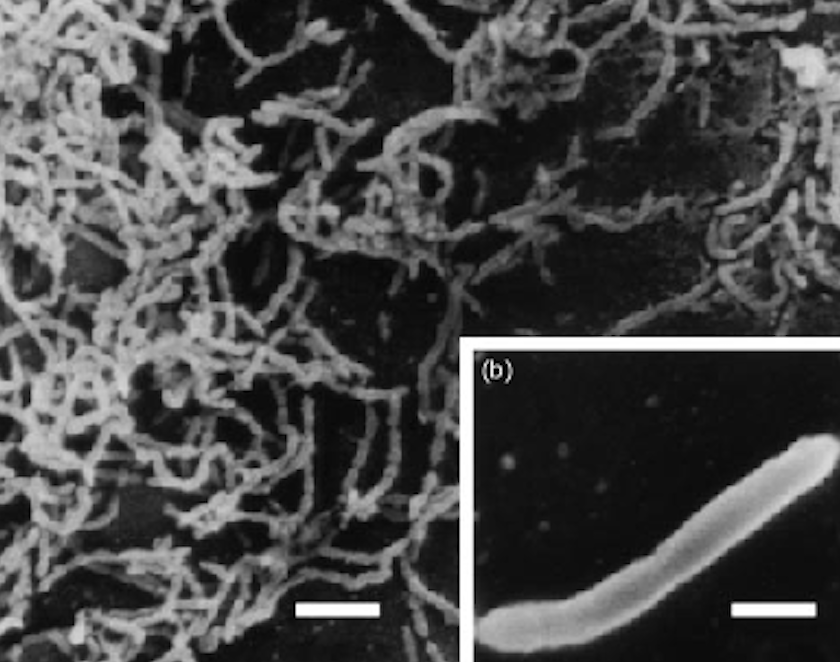 Screenshot 2025-07-30 at 11.30.45 AM