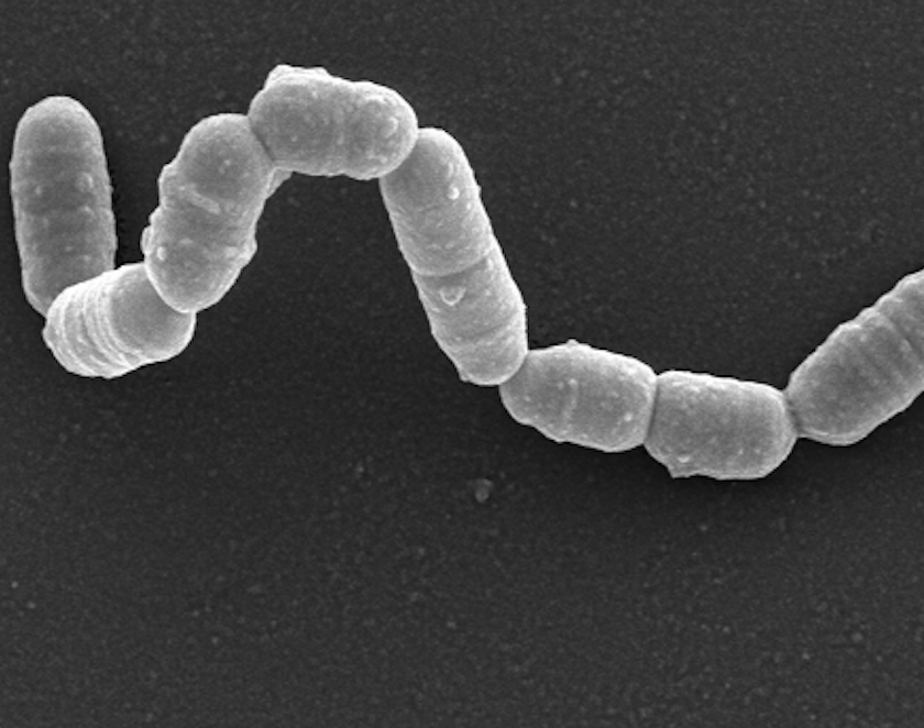 Screenshot 2025-07-30 at 11.30.55 AM