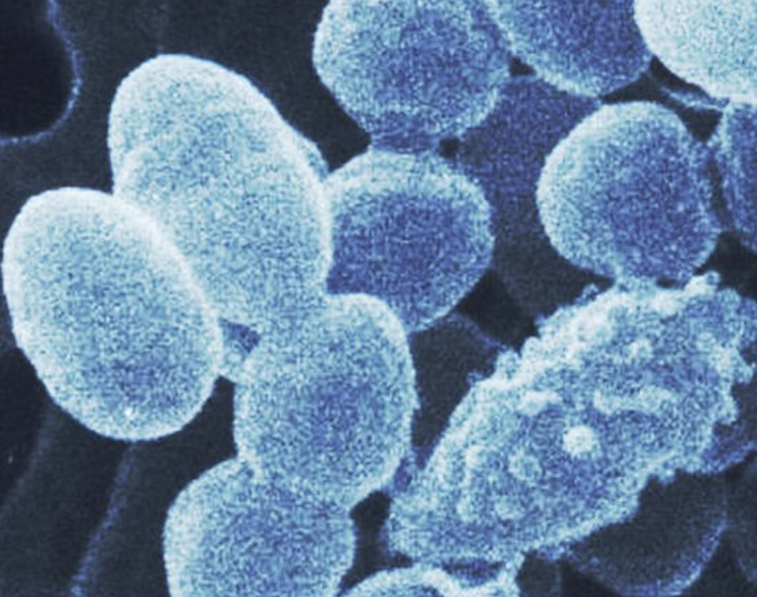 Screenshot 2025-07-30 at 11.31.41 AM