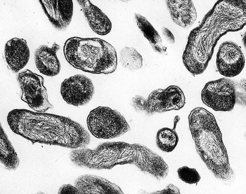 Screenshot 2025-07-30 at 11.31.51 AM