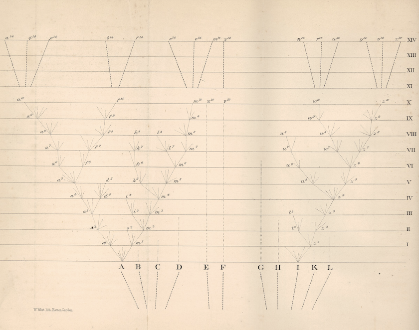 Screenshot 2025-07-30 at 11.54.35 AM