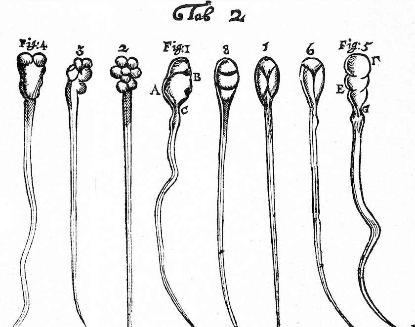 Screenshot 2025-07-30 at 11.54.54 AM