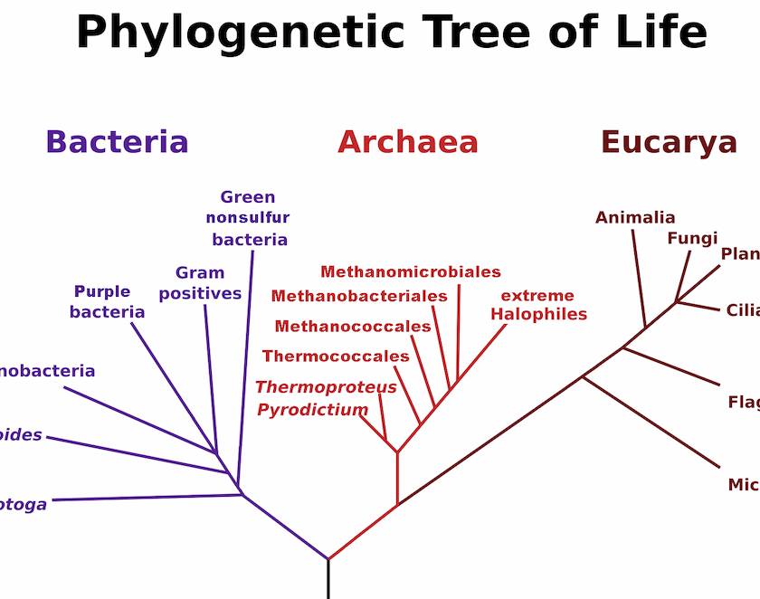 Screenshot 2025-07-30 at 11.55.36 AM