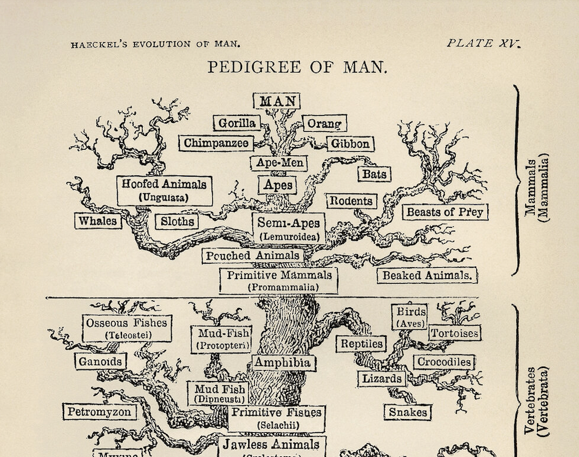 Screenshot 2025-07-30 at 11.55.44 AM