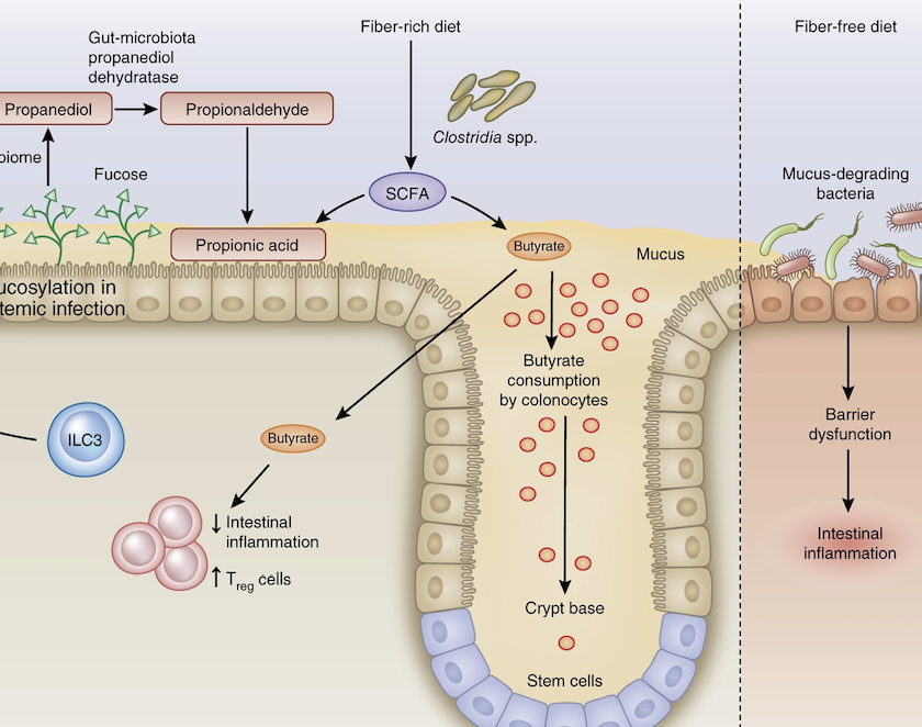 Screenshot 2025-07-30 at 11.59.19 AM