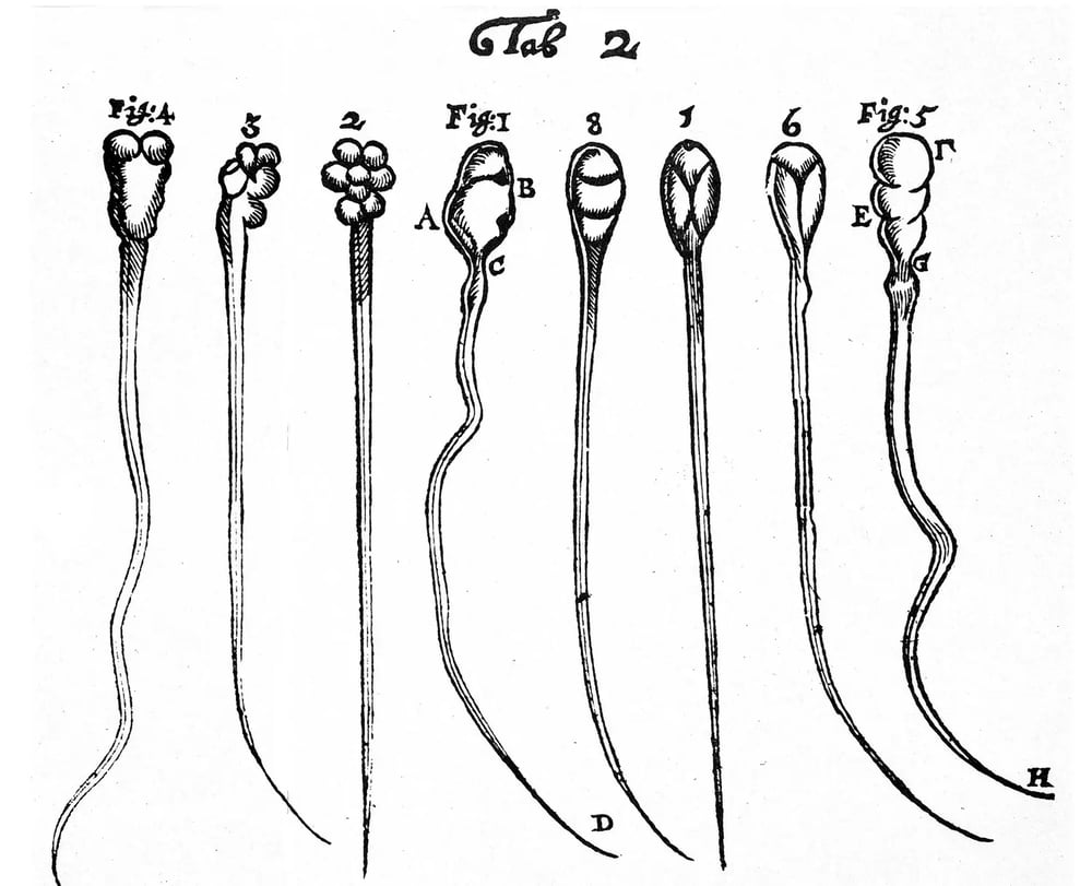 Screenshot_2025-02-18_at_1.53.38_PM